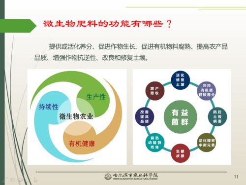 春風(fēng)吹沃野 科技助農(nóng)線上課堂之微生物與農(nóng)業(yè)百問百答